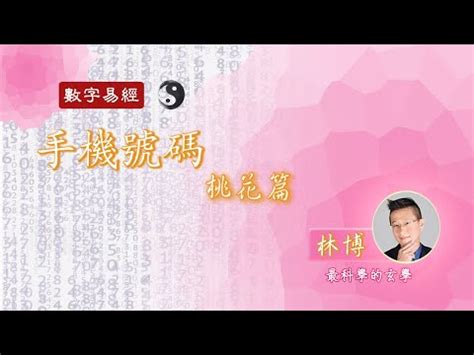 天醫易經|天醫生氣延年：風水大師的建議